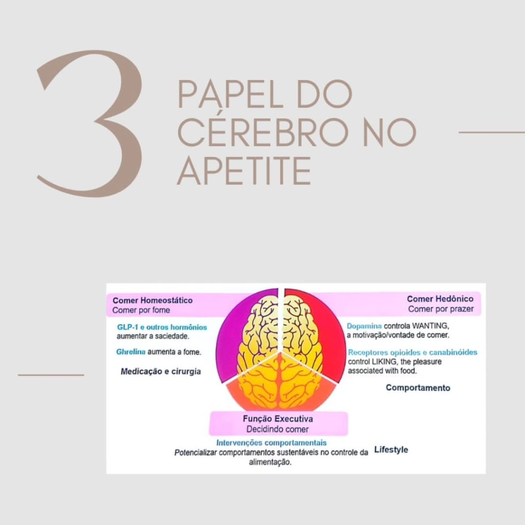 XXV Congresso Brasileiro de Diabetes: três dias de atualização (imagem 4 de 6)
